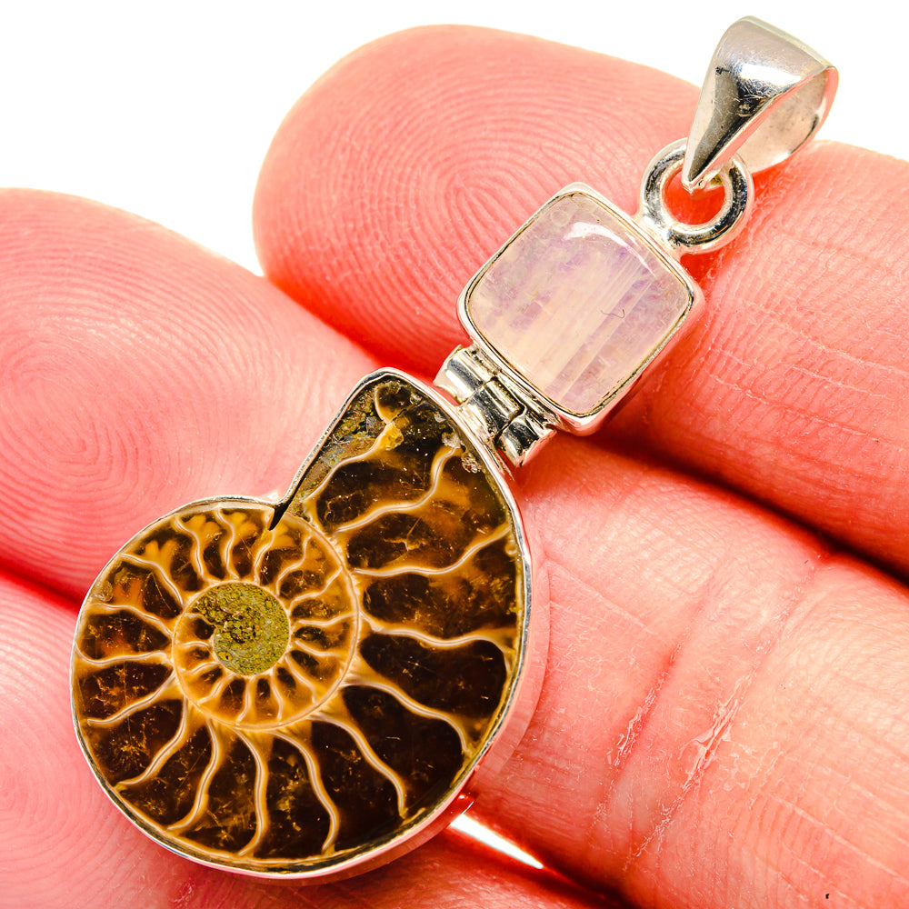Ammonite Fossil Pendants handcrafted by Anasilvercos - PD22855