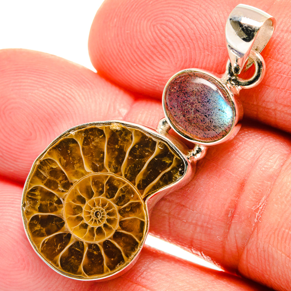 Ammonite Fossil Pendants handcrafted by Anasilvercos - PD23186