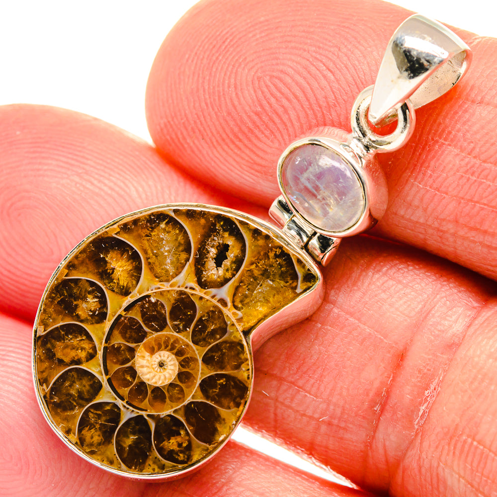 Ammonite Fossil Pendants handcrafted by Anasilvercos - PD23391