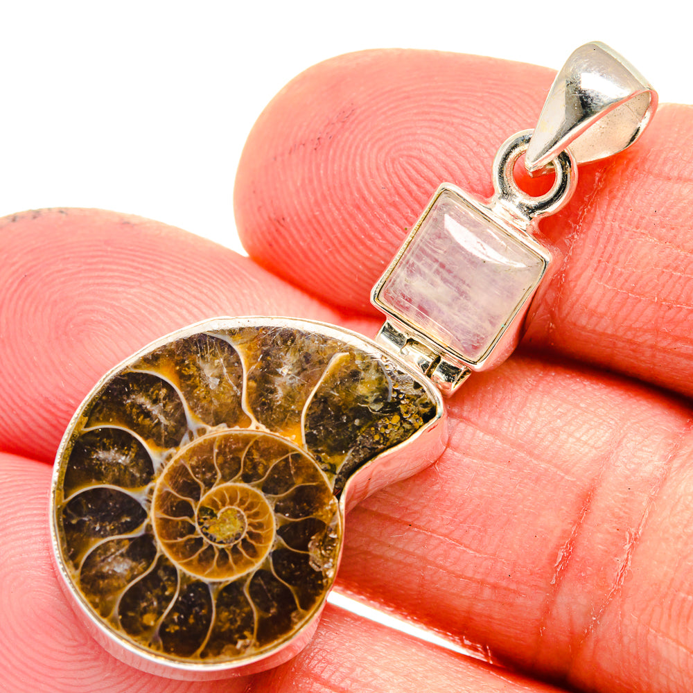 Ammonite Fossil Pendants handcrafted by Anasilvercos - PD23512