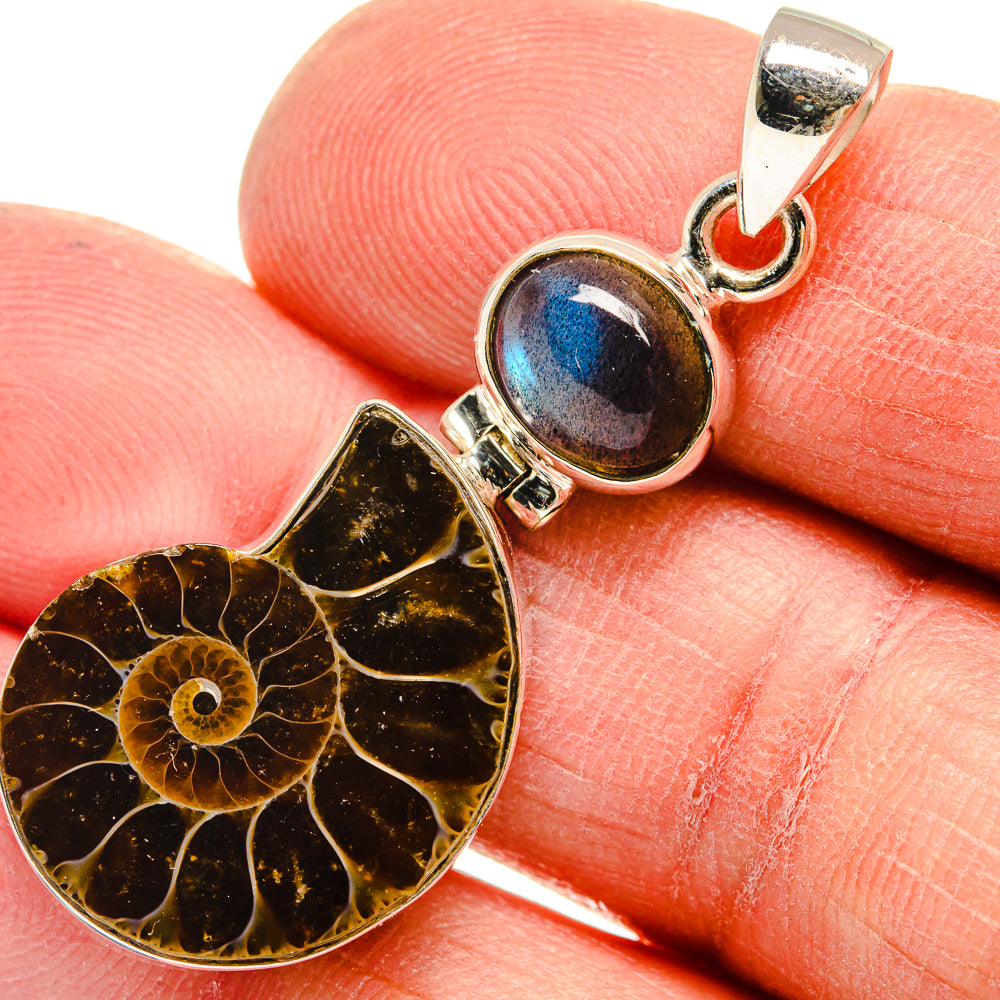 Ammonite Fossil Pendants handcrafted by Anasilvercos - PD23710