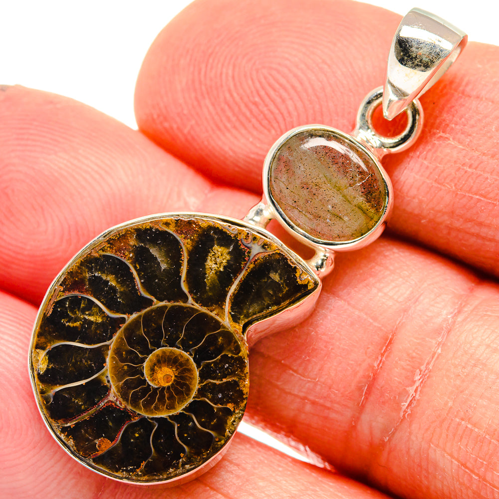 Ammonite Fossil Pendants handcrafted by Anasilvercos - PD23798