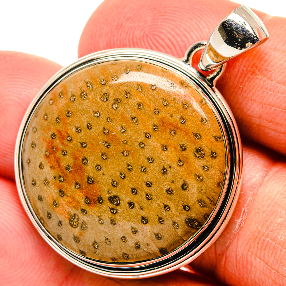 Palm Wood Jasper Pendants handcrafted by Anasilvercos - PD24128