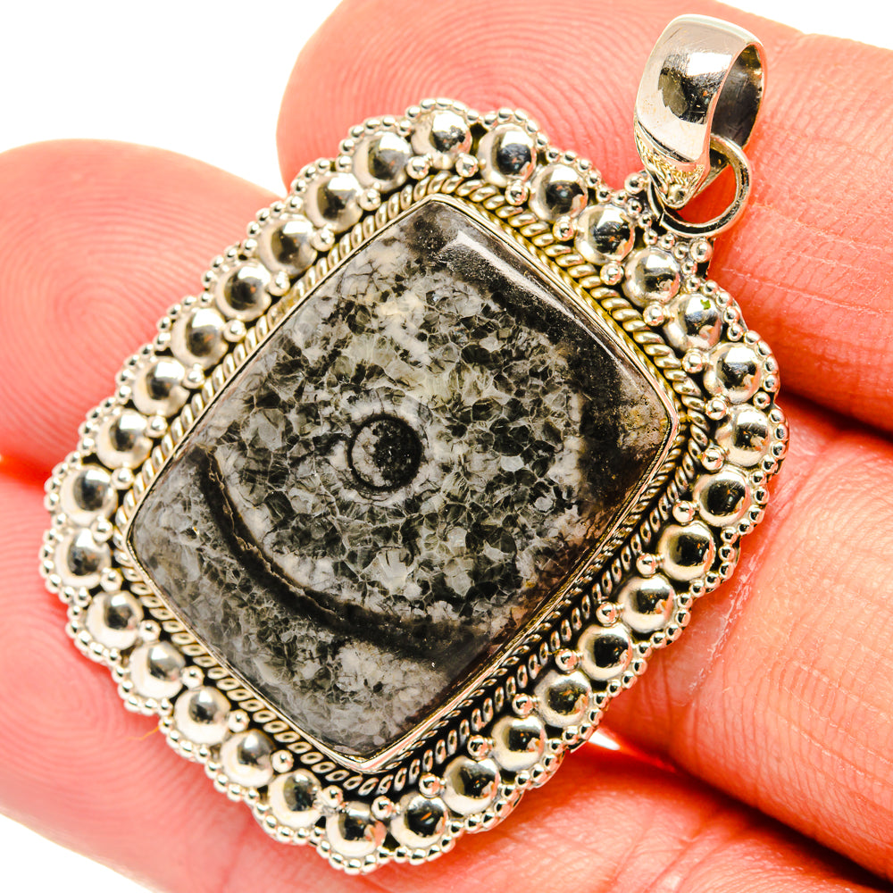 Moroccan Goniatite Fossil Pendants handcrafted by Anasilvercos - PD27289