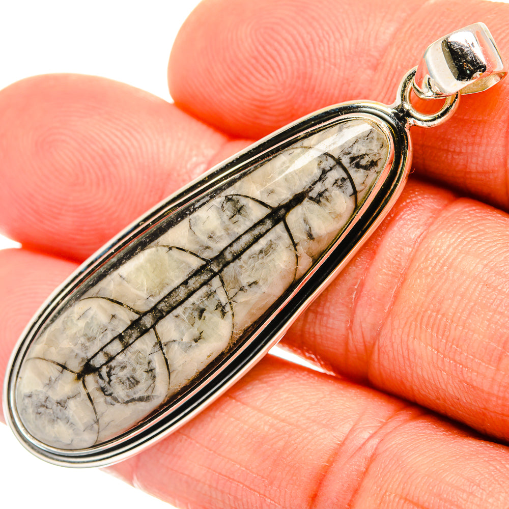 Orthoceras Fossil Pendants handcrafted by Anasilvercos - PD27381