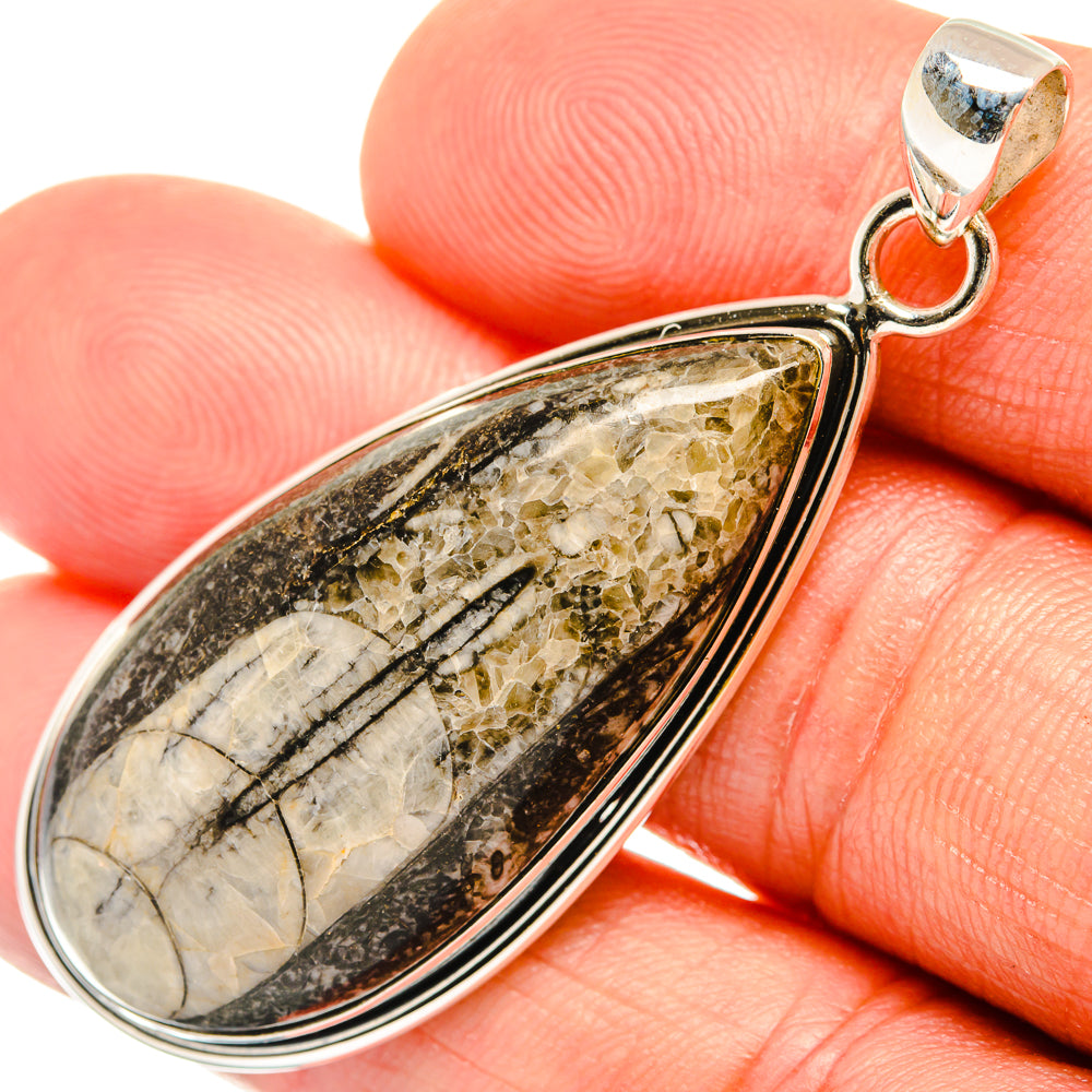 Orthoceras Fossil Pendants handcrafted by Anasilvercos - PD27382