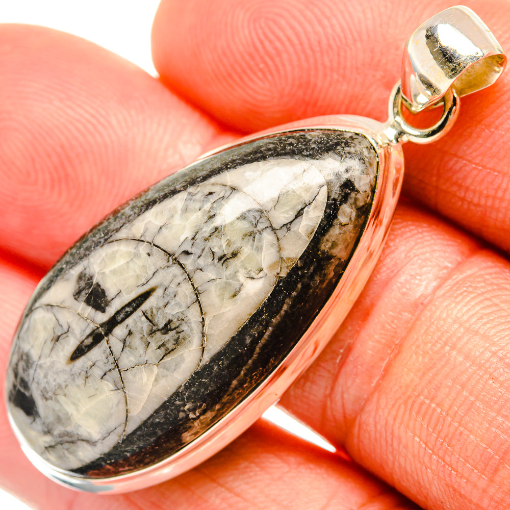 Orthoceras Fossil Pendants handcrafted by Anasilvercos - PD27383