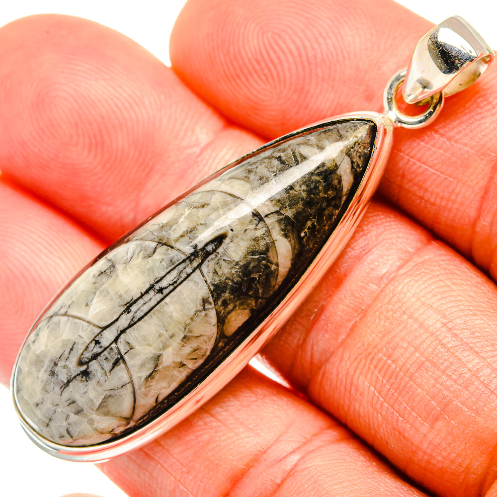 Orthoceras Fossil Pendants handcrafted by Anasilvercos - PD27384