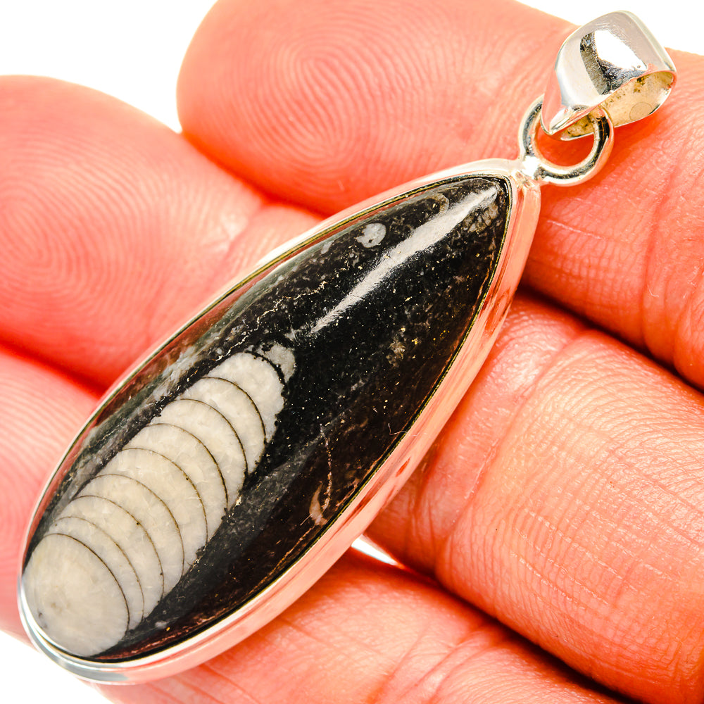 Orthoceras Fossil Pendants handcrafted by Anasilvercos - PD27386
