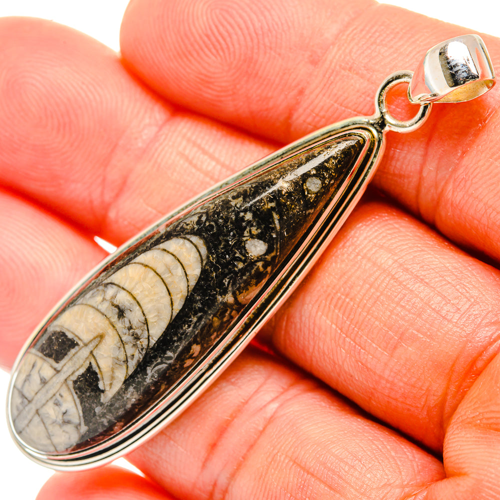 Orthoceras Fossil Pendants handcrafted by Anasilvercos - PD27387