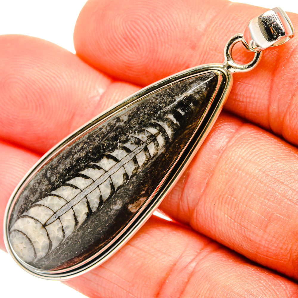 Orthoceras Fossil Pendants handcrafted by Anasilvercos - PD27388