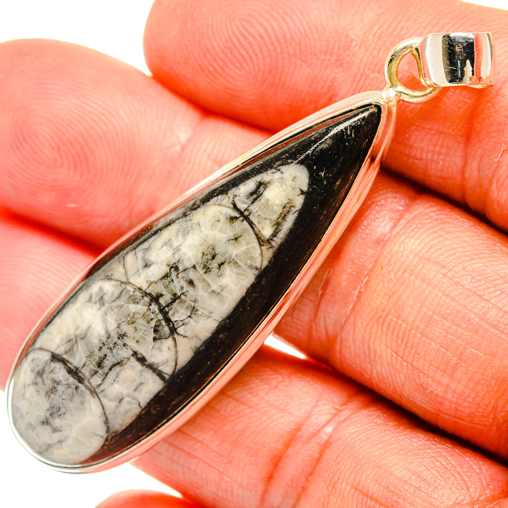 Orthoceras Fossil Pendants handcrafted by Anasilvercos - PD27528