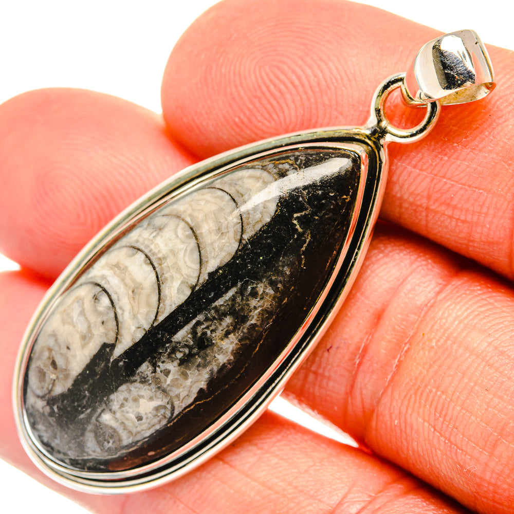 Orthoceras Fossil Pendants handcrafted by Anasilvercos - PD27529