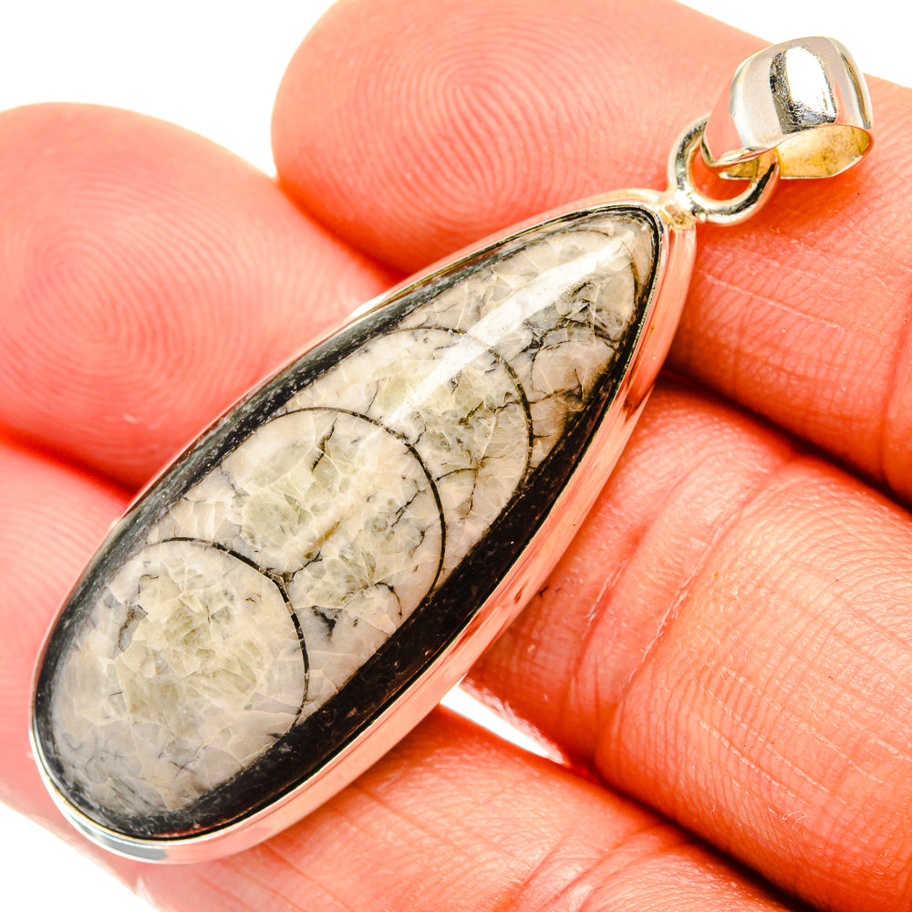 Orthoceras Fossil Pendants handcrafted by Anasilvercos - PD27530