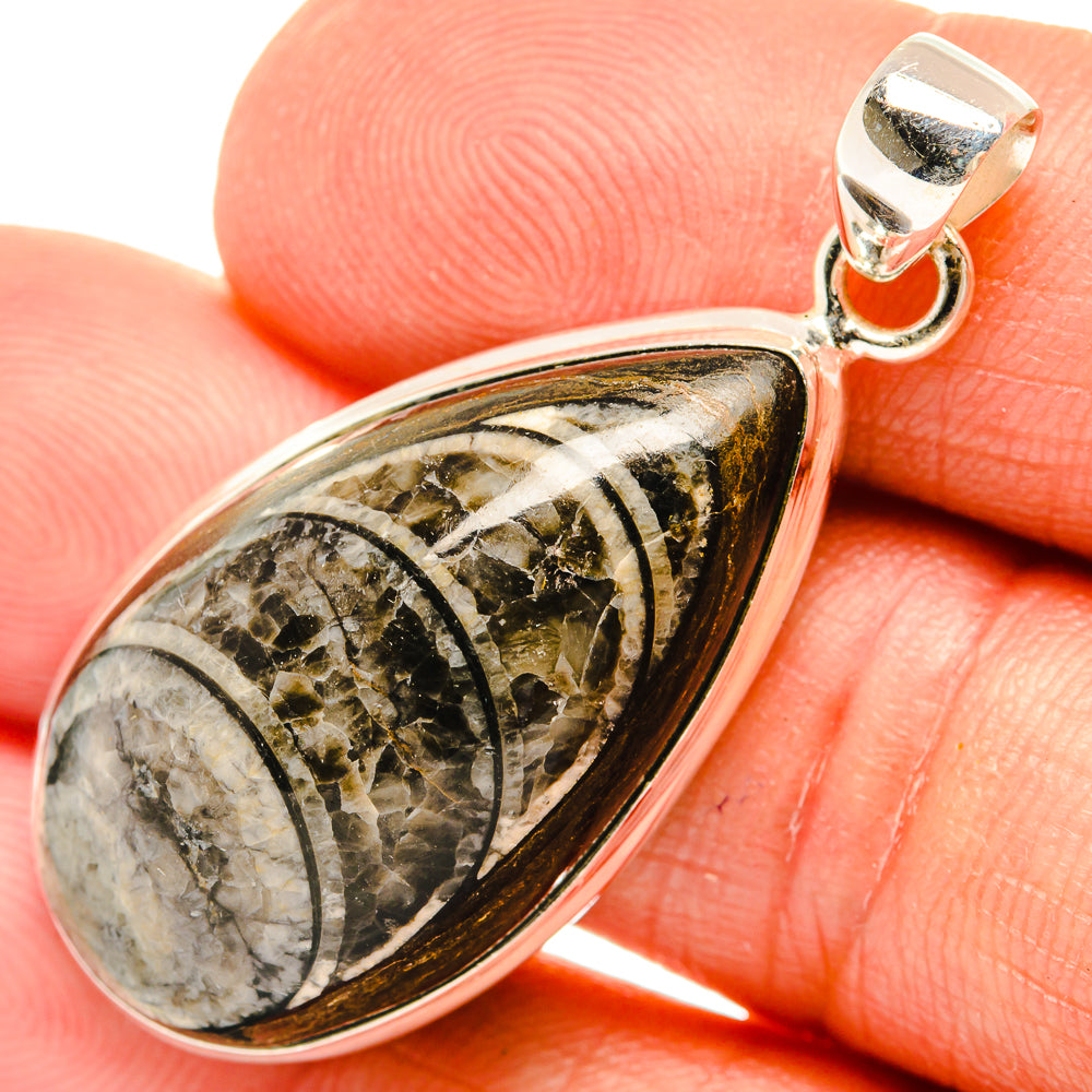 Orthoceras Fossil Pendants handcrafted by Anasilvercos - PD27531