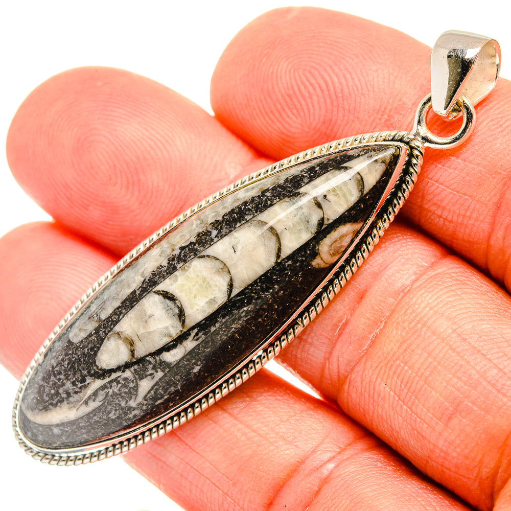 Orthoceras Fossil Pendants handcrafted by Anasilvercos - PD27719