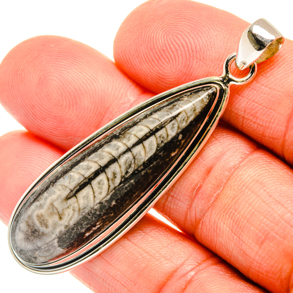 Orthoceras Fossil Pendants handcrafted by Anasilvercos - PD27720