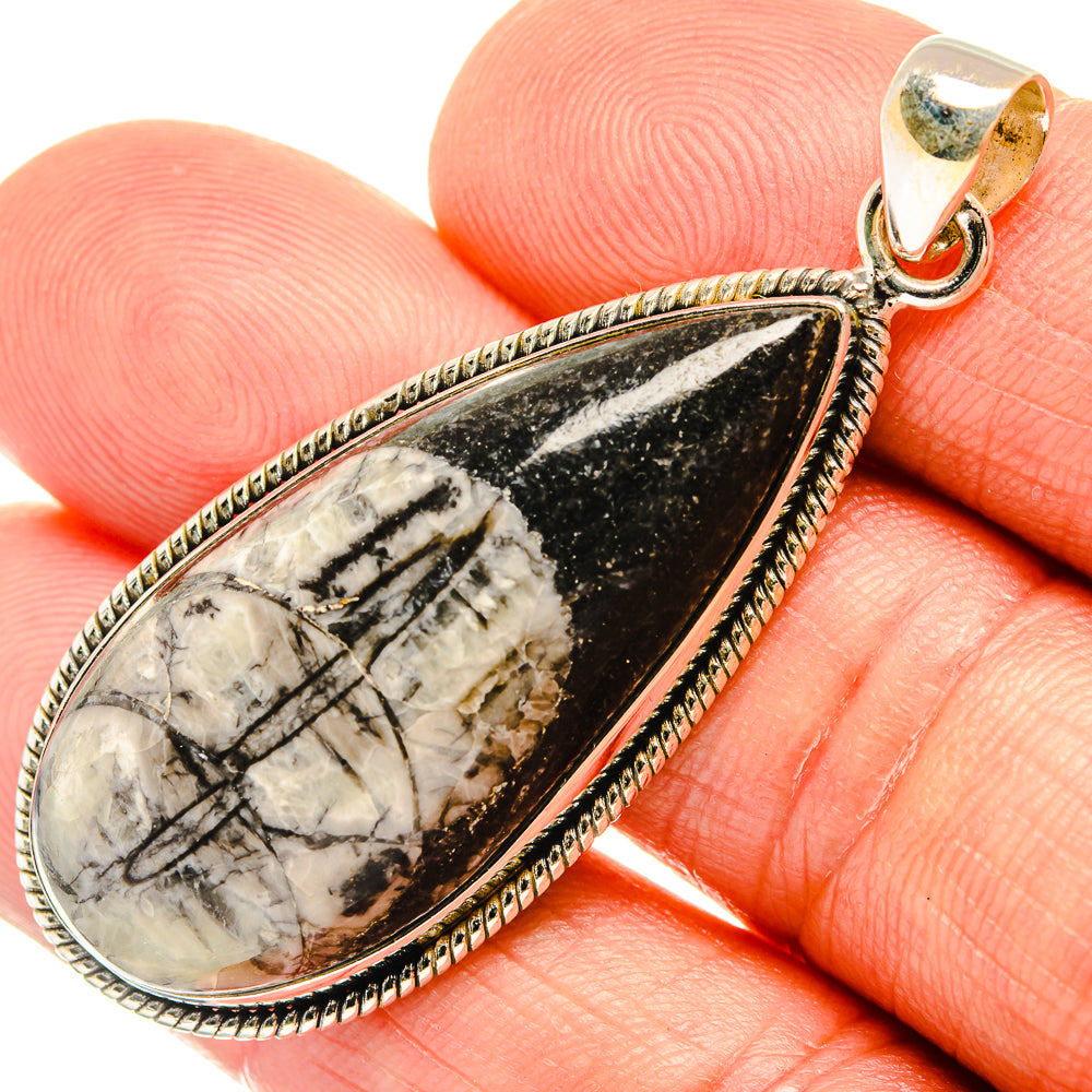 Orthoceras Fossil Pendants handcrafted by Anasilvercos - PD27721