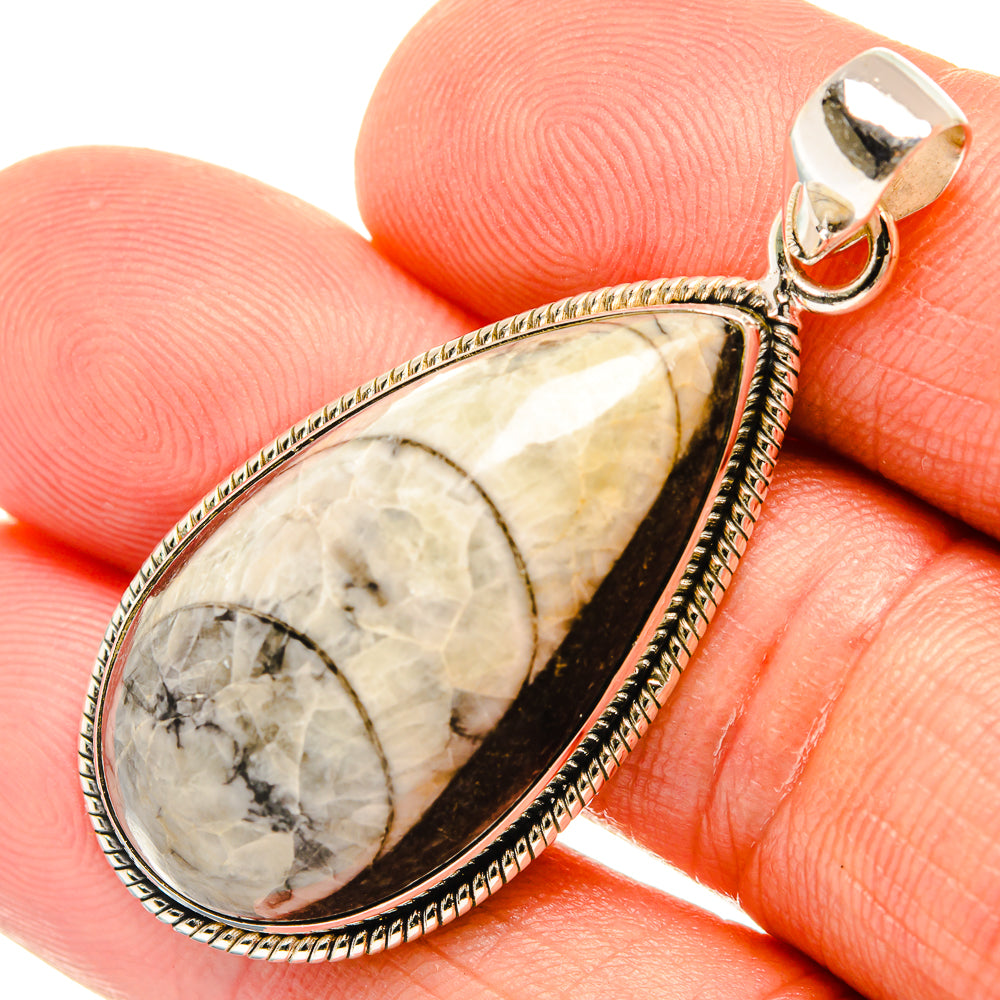 Orthoceras Fossil Pendants handcrafted by Anasilvercos - PD27722