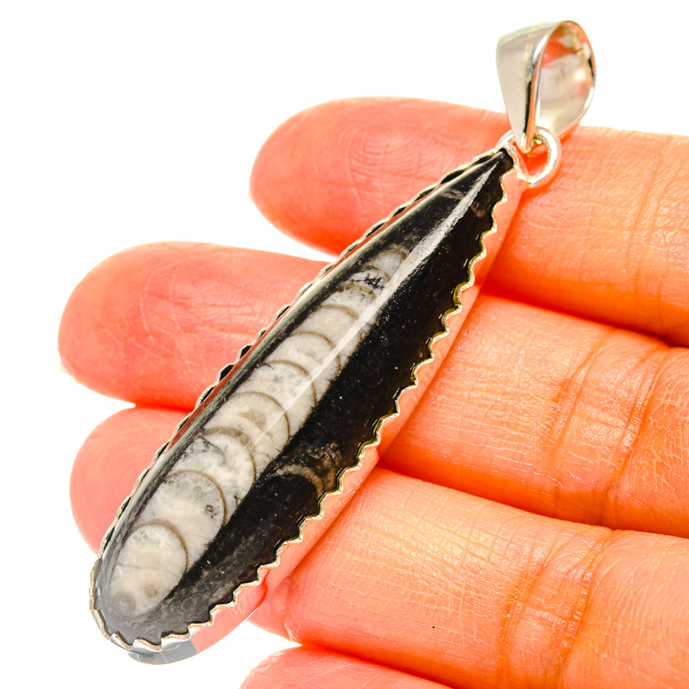 Orthoceras Fossil Pendants handcrafted by Anasilvercos - PD29352