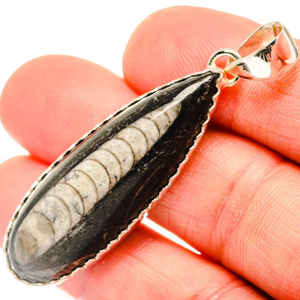 Orthoceras Fossil Pendants handcrafted by Anasilvercos - PD30185