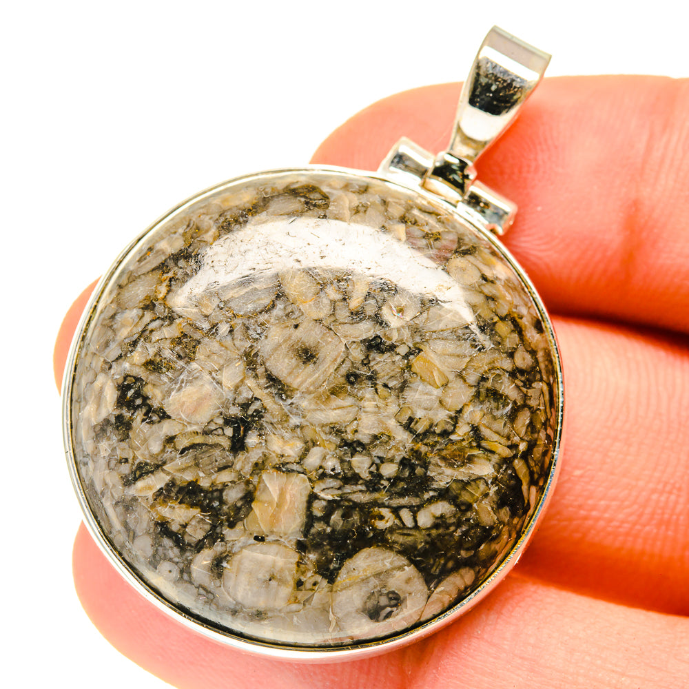 Crinoid Fossil Pendants handcrafted by Anasilvercos - PD3019