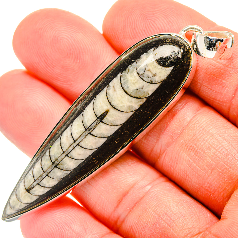 Orthoceras Fossil Pendants handcrafted by Anasilvercos - PD30765