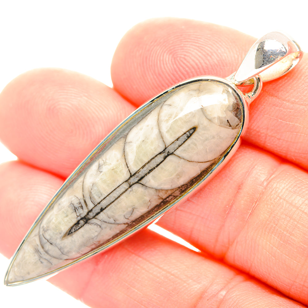 Orthoceras Fossil Pendants handcrafted by Anasilvercos - PD31945