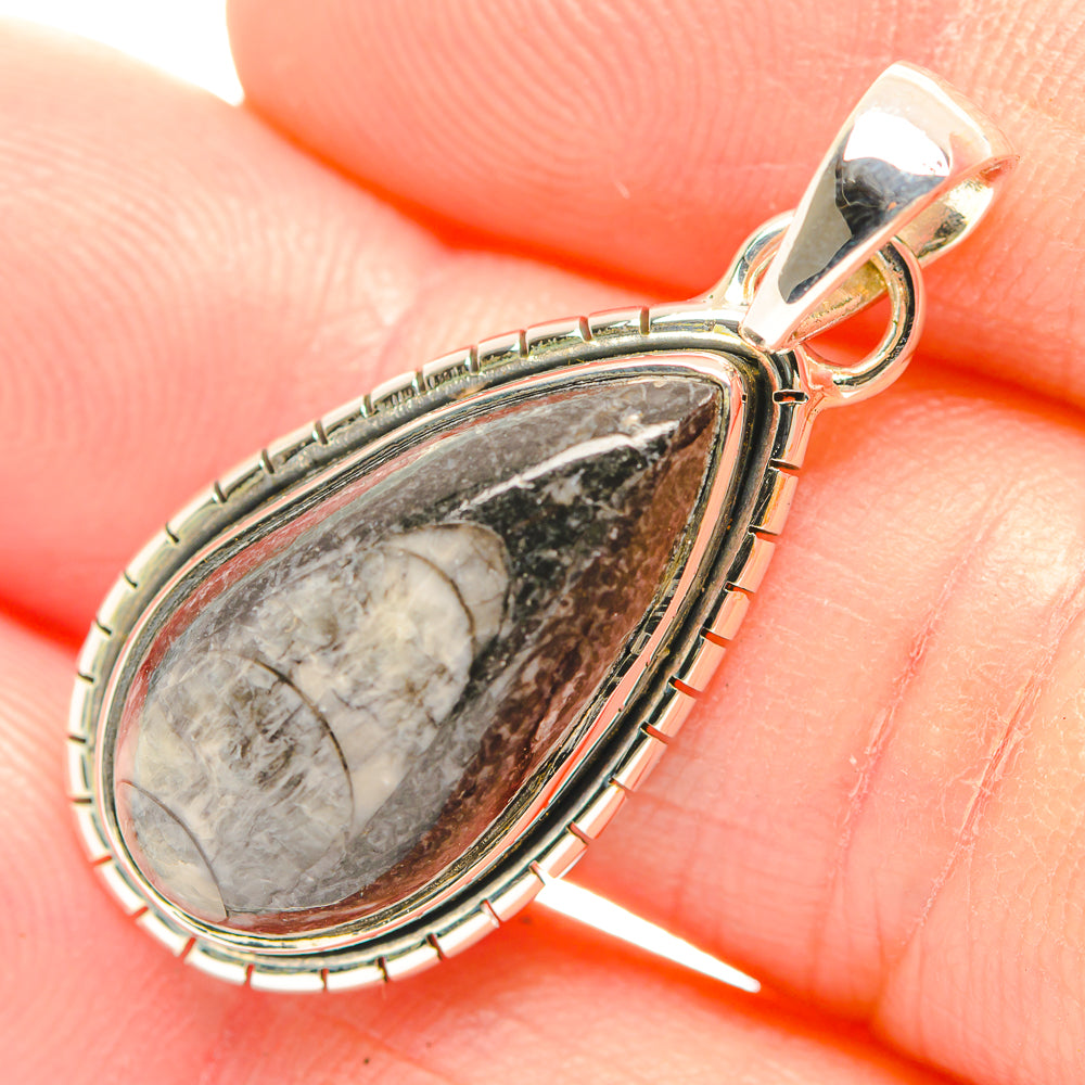 Orthoceras Fossil Pendants handcrafted by Anasilvercos - PD32046