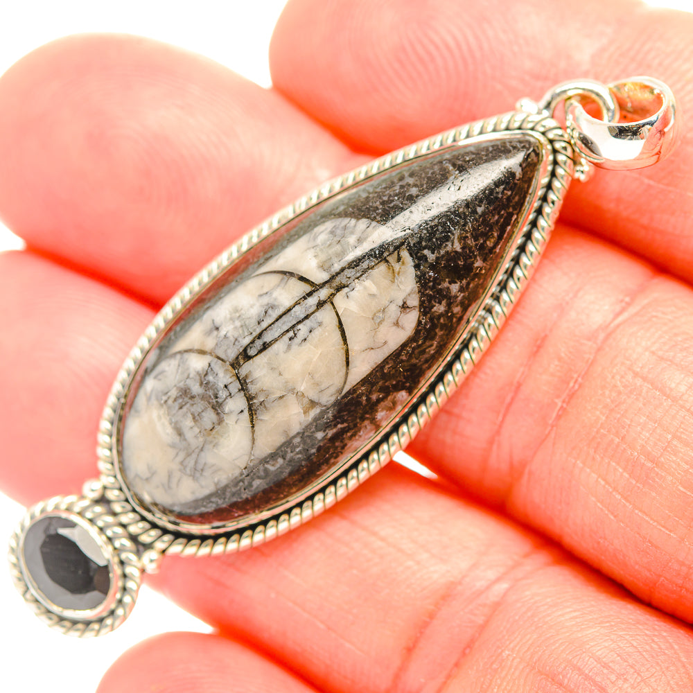 Orthoceras Fossil Pendants handcrafted by Anasilvercos - PD32092
