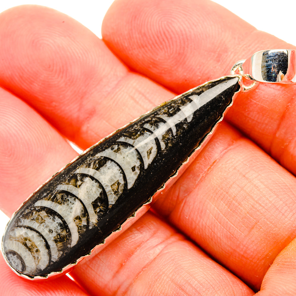 Orthoceras Fossil Pendants handcrafted by Anasilvercos - PD32394