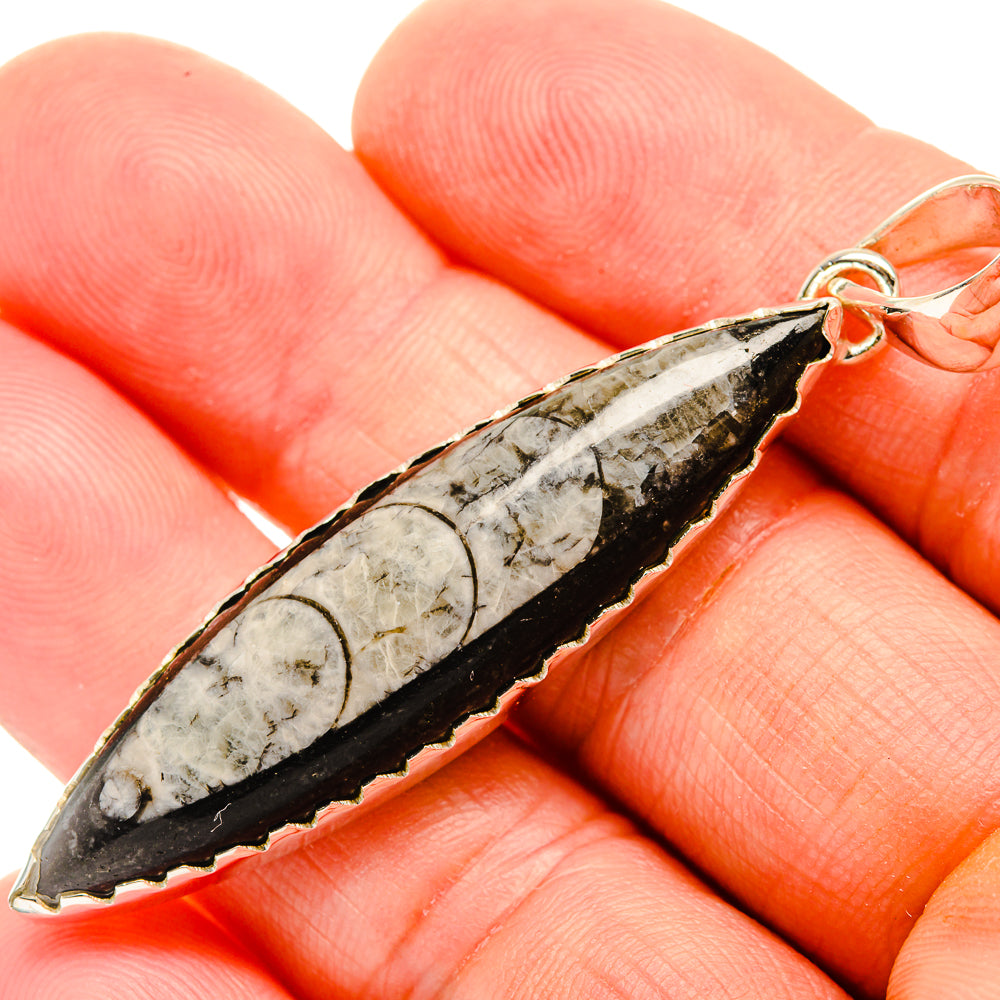 Orthoceras Fossil Pendants handcrafted by Anasilvercos - PD32396