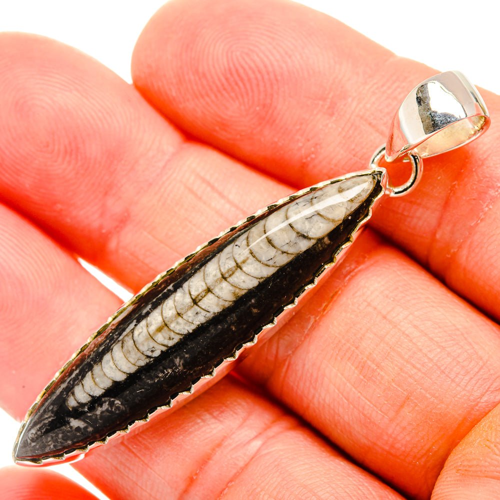 Orthoceras Fossil Pendants handcrafted by Anasilvercos - PD32397