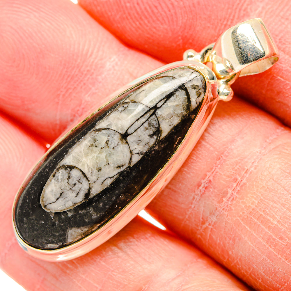Orthoceras Fossil Pendants handcrafted by Anasilvercos - PD34454