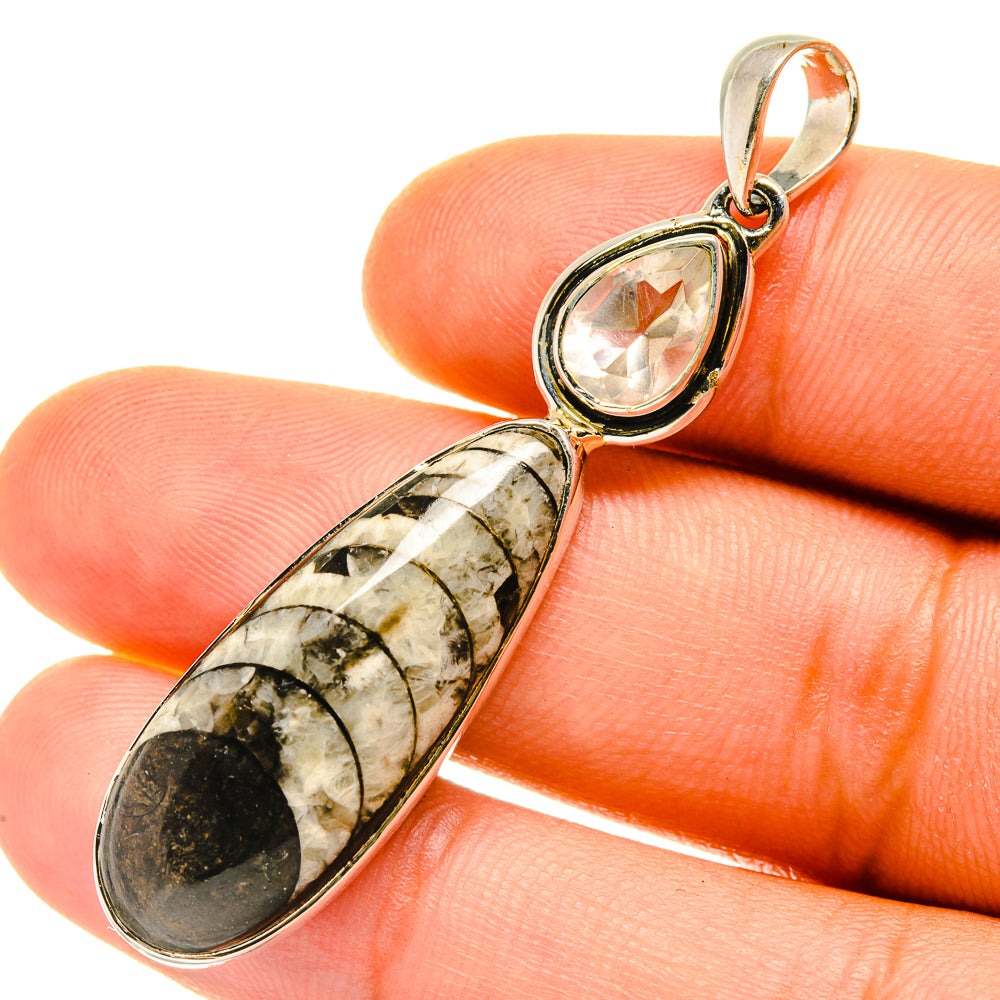 Orthoceras Fossil Pendants handcrafted by Anasilvercos - PD4219