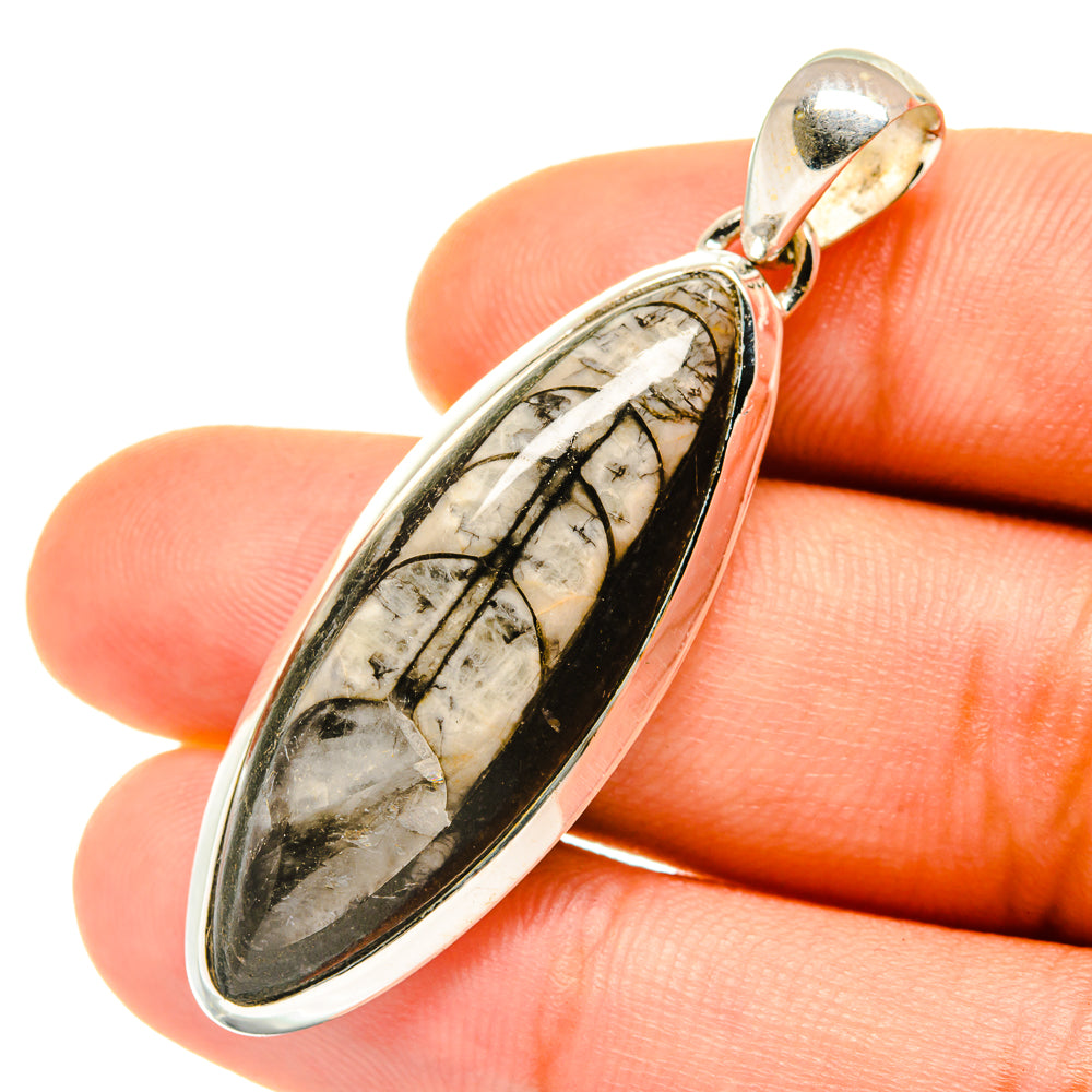 Orthoceras Fossil Pendants handcrafted by Anasilvercos - PD4220