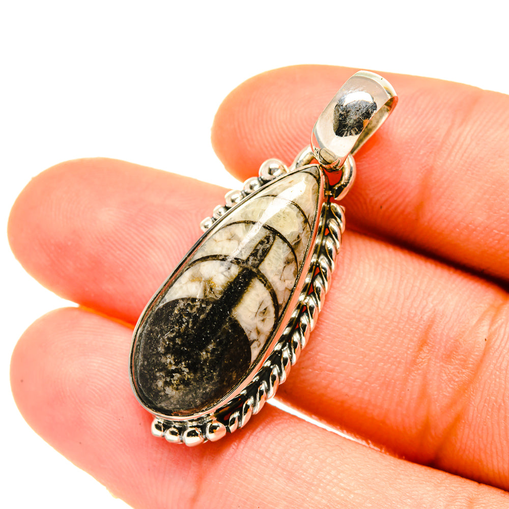 Orthoceras Fossil Pendants handcrafted by Anasilvercos - PD4701