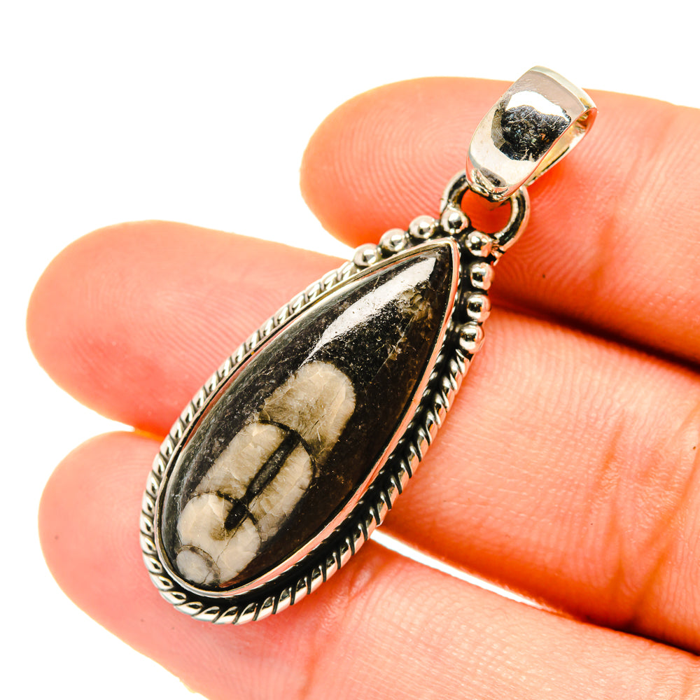 Orthoceras Fossil Pendants handcrafted by Anasilvercos - PD4704