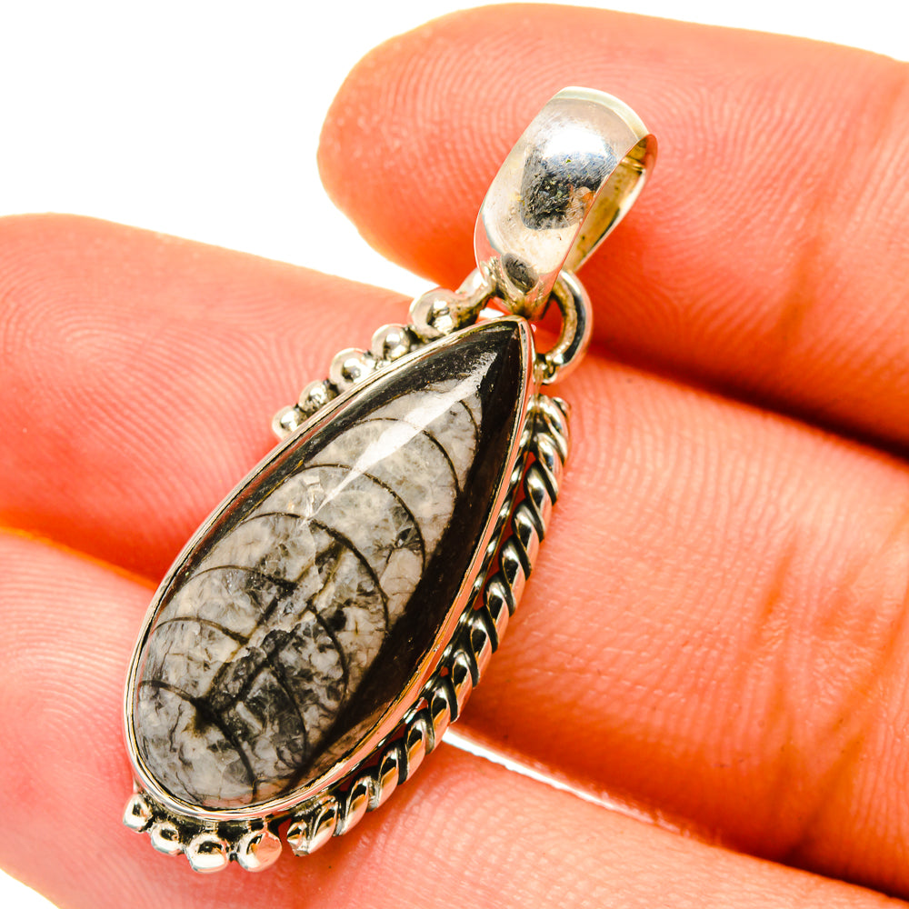 Orthoceras Fossil Pendants handcrafted by Anasilvercos - PD4848