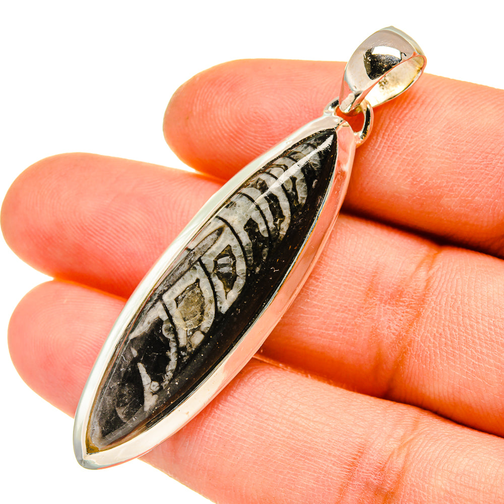 Orthoceras Fossil Pendants handcrafted by Anasilvercos - PD5188
