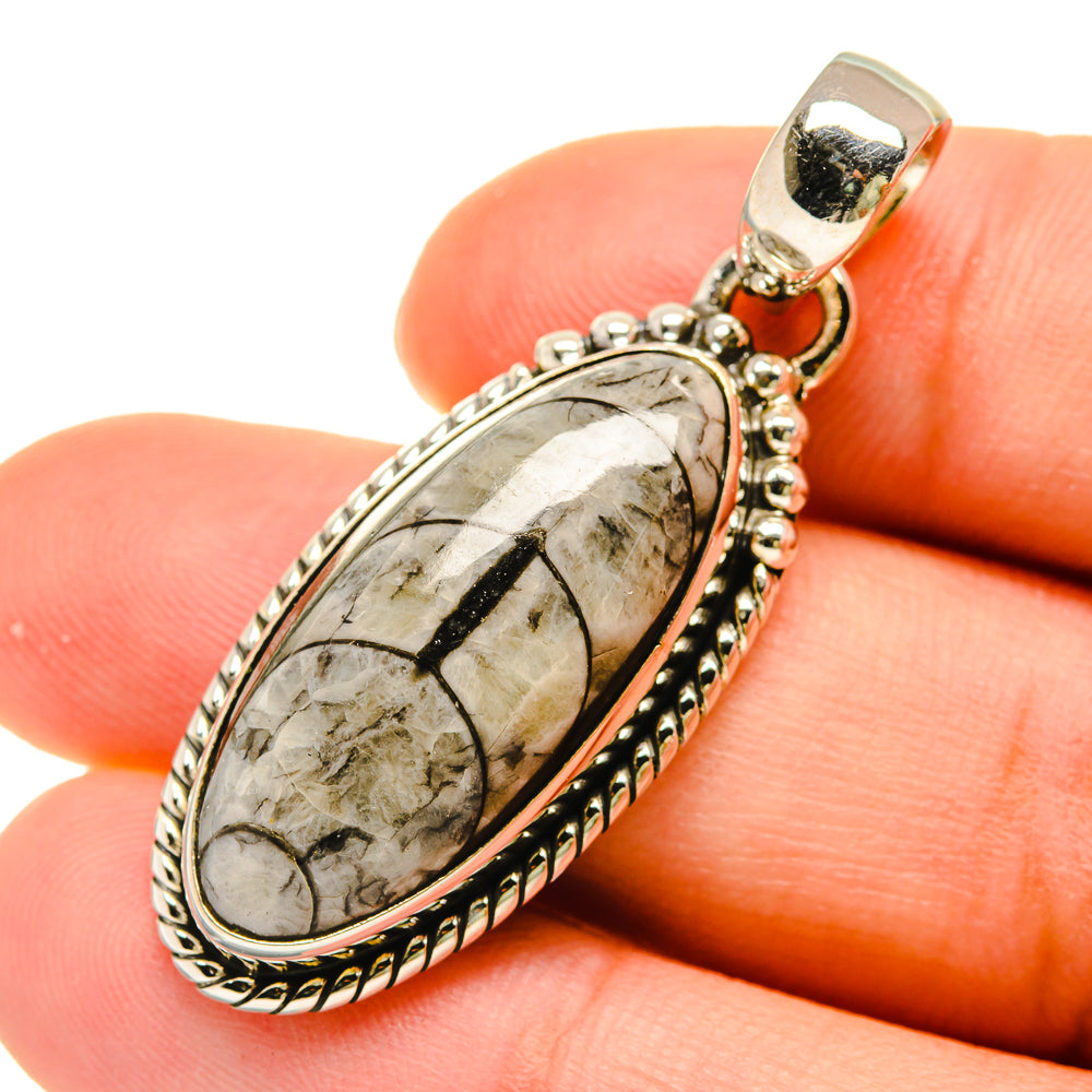 Orthoceras Fossil Pendants handcrafted by Anasilvercos - PD5431