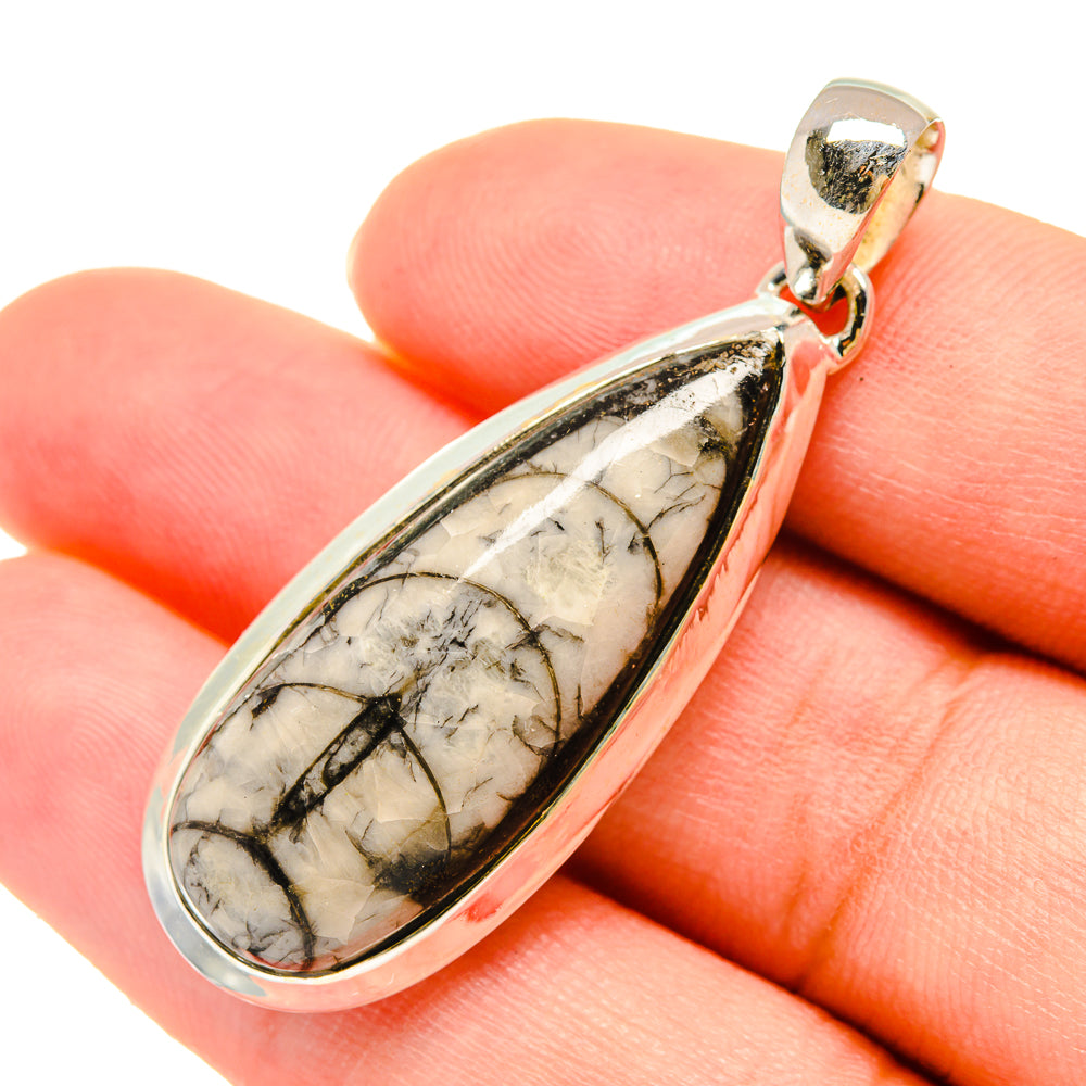 Orthoceras Fossil Pendants handcrafted by Anasilvercos - PD6062