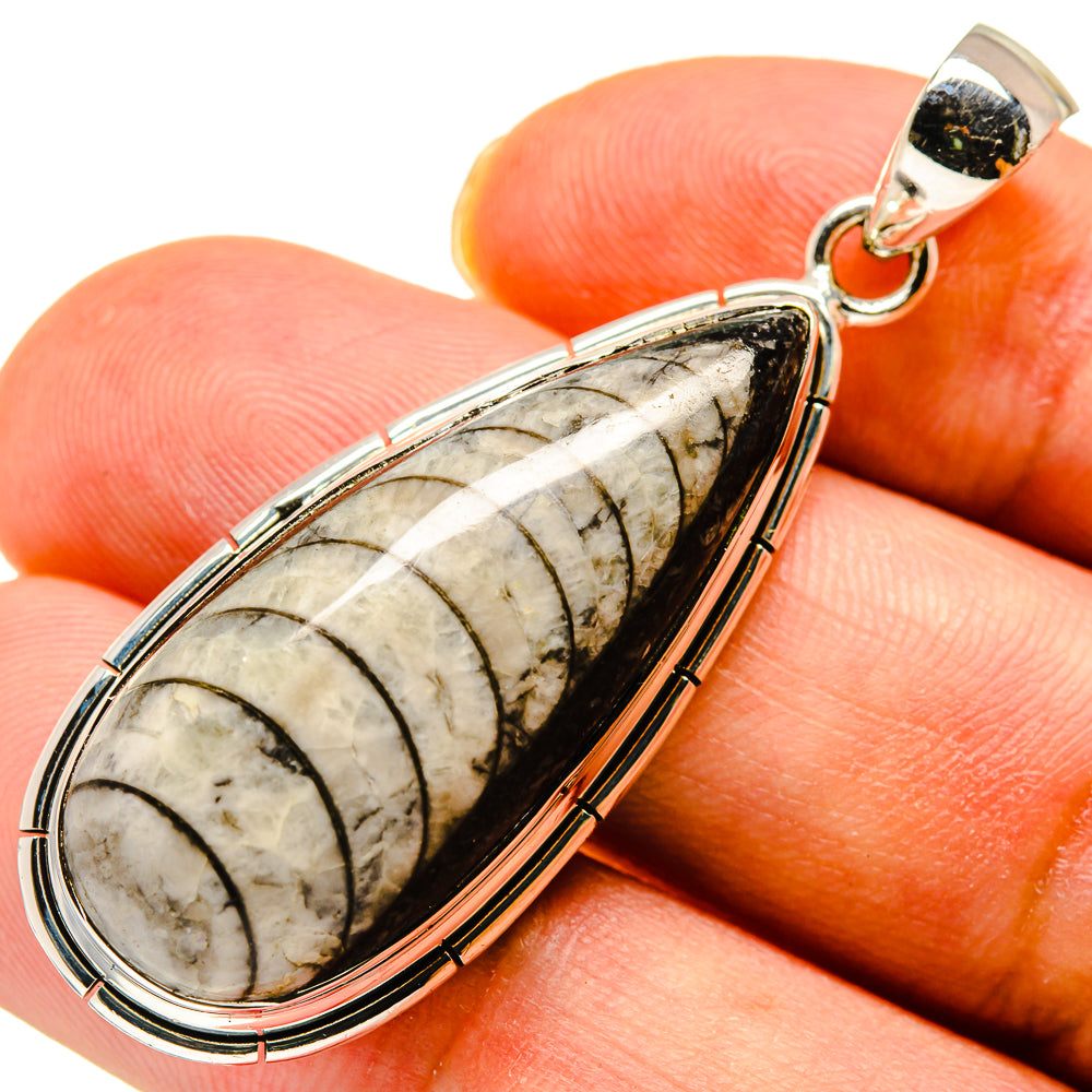 Orthoceras Fossil Pendants handcrafted by Anasilvercos - PD737763