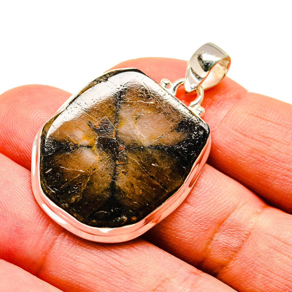 Chiastolite Earrings handcrafted by Anasilvercos - PD741615
