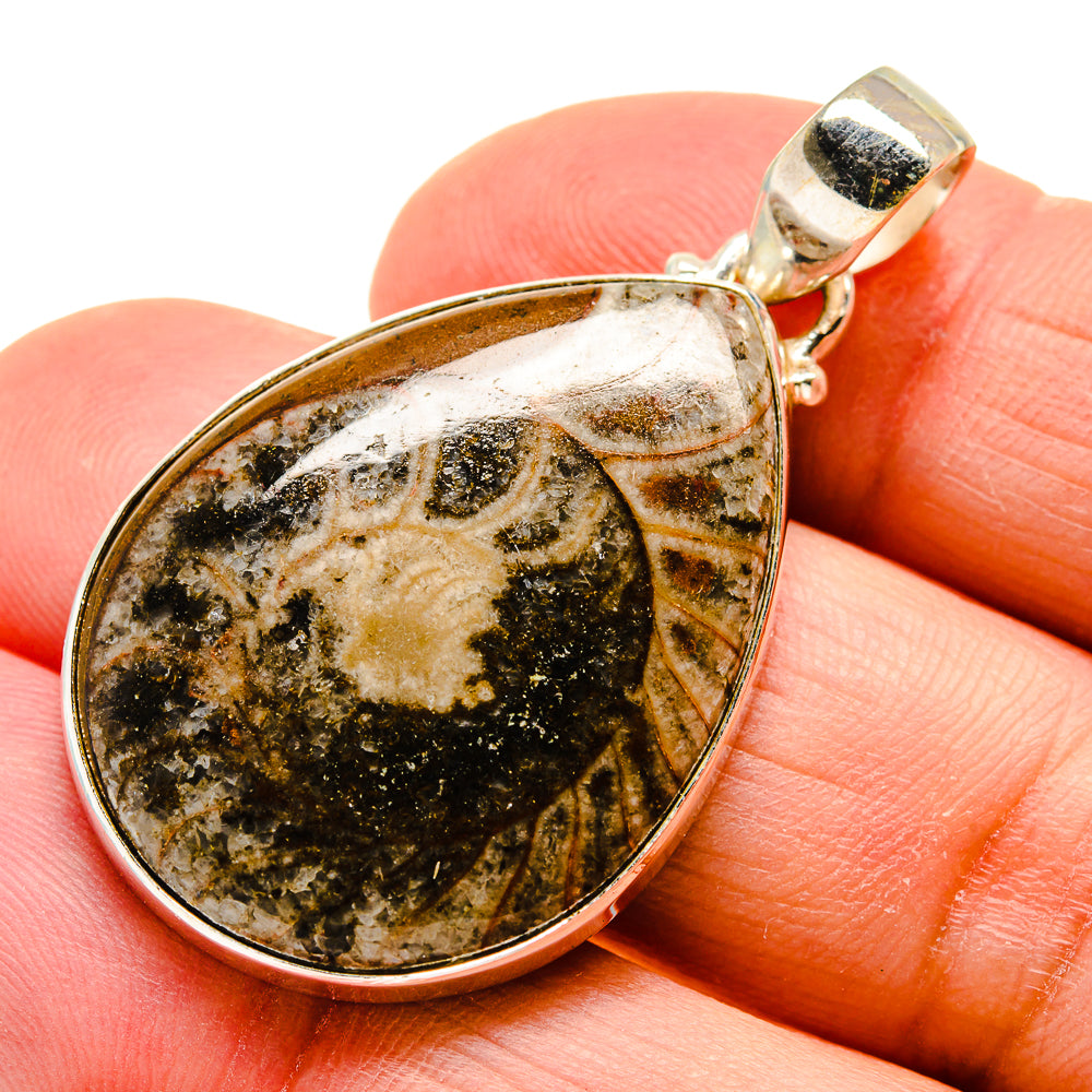 Orthoceras Fossil Pendants handcrafted by Anasilvercos - PD743765
