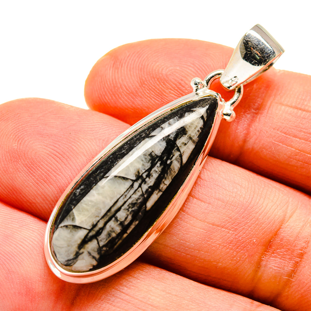 Orthoceras Fossil Pendants handcrafted by Anasilvercos - PD744016