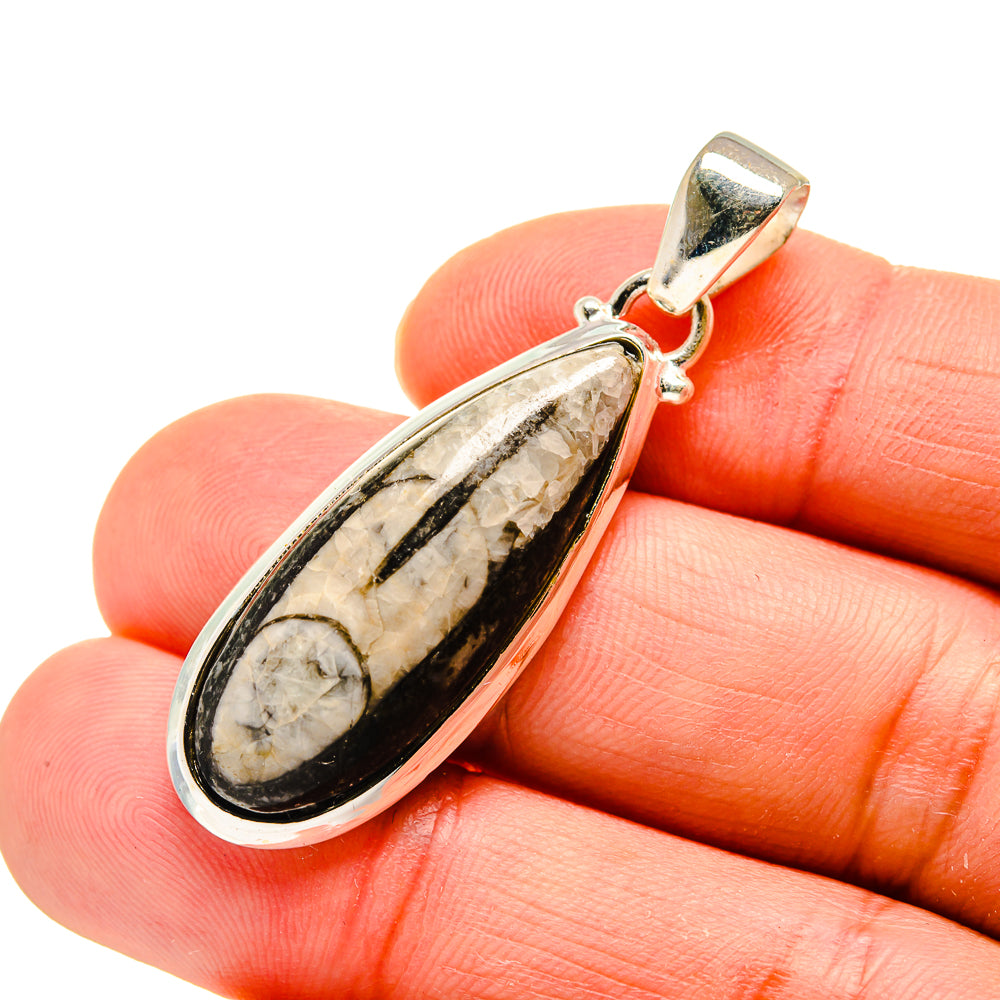 Orthoceras Fossil Pendants handcrafted by Anasilvercos - PD744541