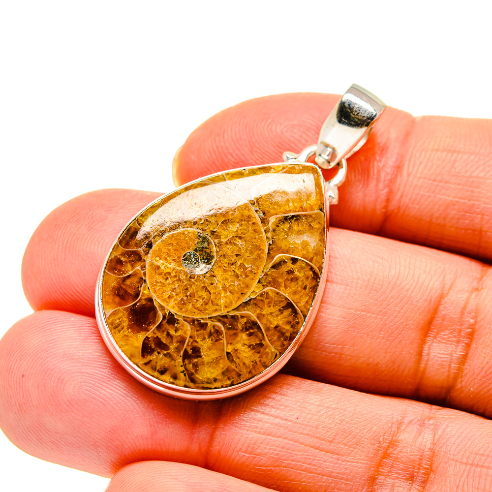 Ammonite Fossil Pendants handcrafted by Anasilvercos - PD744713