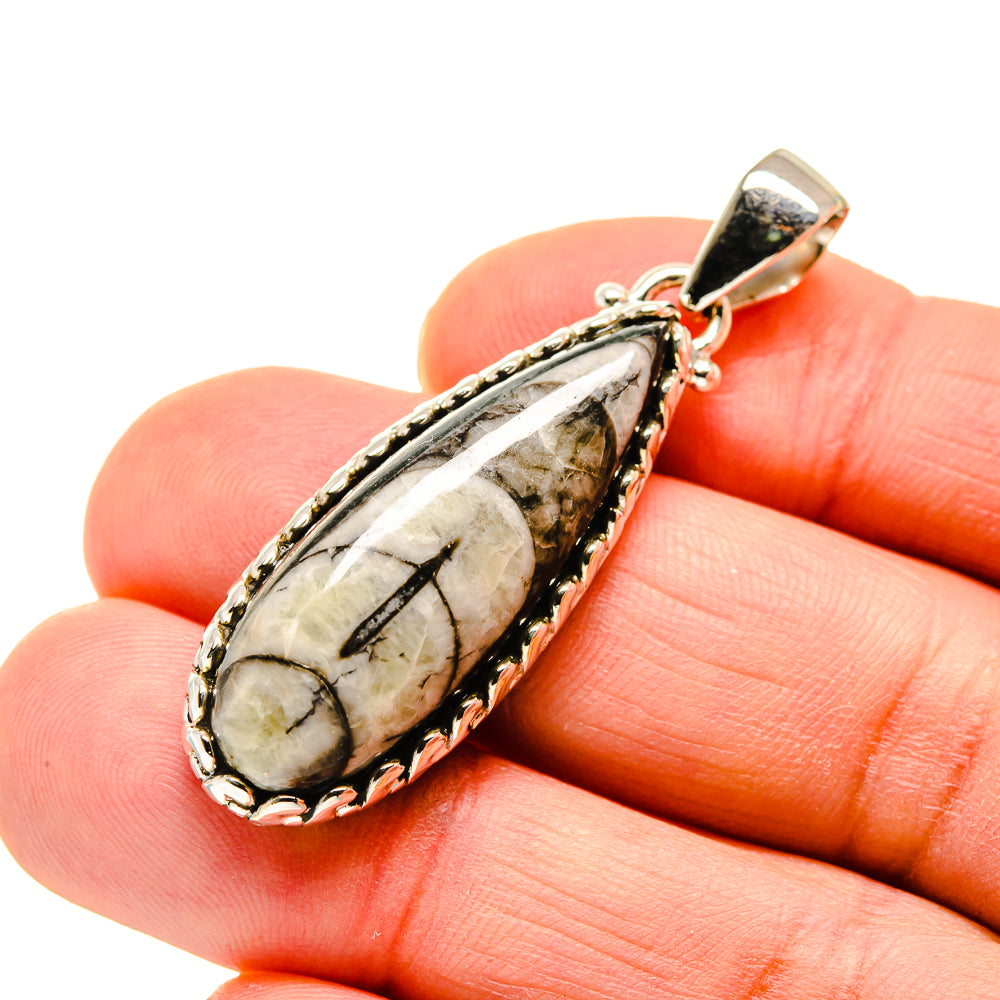 Orthoceras Fossil Pendants handcrafted by Anasilvercos - PD745153