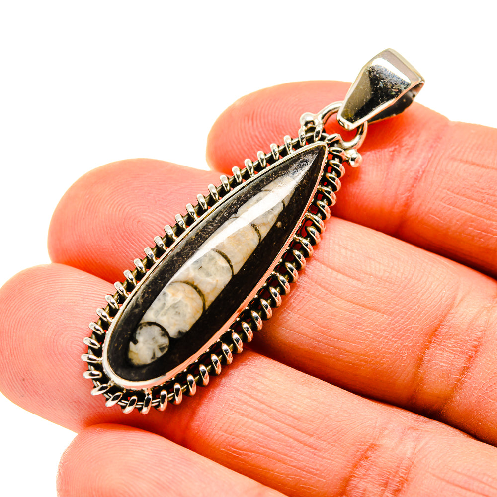 Orthoceras Fossil Pendants handcrafted by Anasilvercos - PD745207